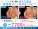 プルメリアの写真