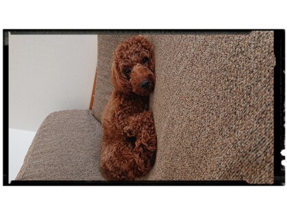 ナユカ(nayuca)の写真