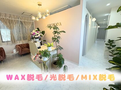 ココカナ(COCOKANA)の写真