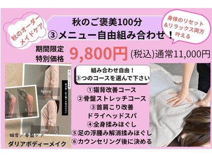 ダリア(DAHLIA)の写真