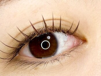 ワイモ 武蔵小杉(waimo)の写真/難関試験合格の【まつげの達人】が1人1人の目元に合わせてご提案！こだわりの施術でより魅力的なお目元に♪