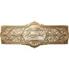 アニモネイル 立川 昭島(A'nimoNail)のお店ロゴ
