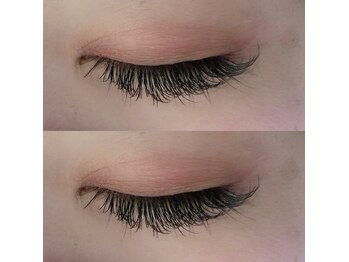 ロッコ(Rocco)/ボリュームフラッシュ