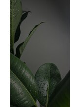 オン 恵比寿店(ON)&nbsp;sena 