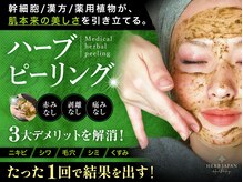 ピレア(Pillea)/大人気ハーブピーリング