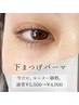 【2月15日まで限定】下まつげパーマモニター　¥5500→¥4000