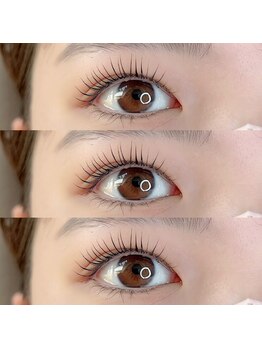 アイリス(eyeris)/まつ毛パーマ