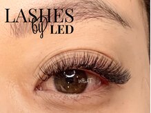 ウィート(WHeAT)/《LED》ボリュームラッシュ付放