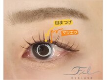 フィル 小倉店(fil)/LEDパーマラッシュ