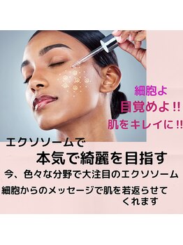 シンデレラ(Cinderella)/エクソソームで細胞から綺麗に！
