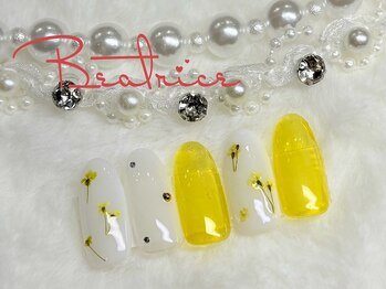 定額ミディアムコース