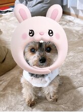 ピスティ(piisty) NAKA JIMA