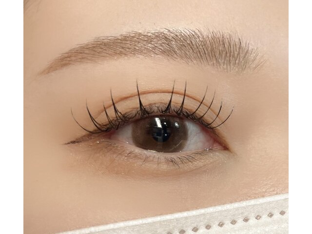 Dress eyelash 【ドレス　アイラッシュ】