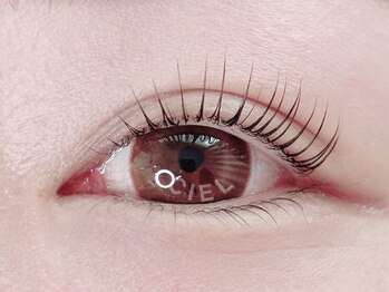 シエル(CIEL)の写真/【サロンデビューにもぴったり♪】丁寧な施術で美しい仕上がりに！まつ毛＋眉毛のSETメニューがおすすめ◎