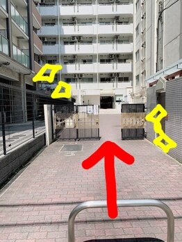 スンダリ(Sundari)/門を通って奥へ