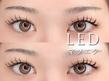 アルセア(ALTHAEA)