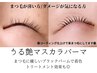 【2・3月限定】すっぴん目元もパッチリくっきり☆うる艶マスカラパーマ