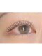 アイズ 京橋店(Eye's)の写真/大人気の上下パーマ♪パリジェンヌ、メーテル、マスカラパーマもできます！
