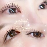 ガーランド ルピナス(garland lupinus)
