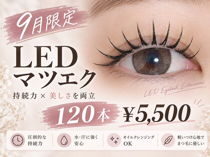 エル(Elle)の写真