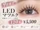 エル(Elle)の写真