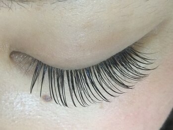 シュシュ(chou chou)/フラットマットラッシュ140本