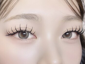 クラッシィ(Classy)/ダブルフラット80束