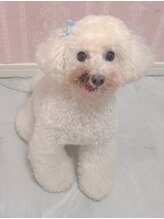 完全個室プライベートサロン【ビューティサロンミルク】パラジェル・フィルインOK♪ みるく