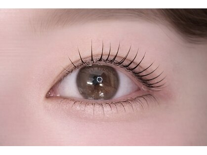 キト(QUITO)の写真