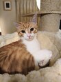 脱毛サロン リッカ(Lycka)&nbsp;ウィン (猫)