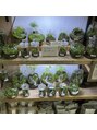 ヨサパーク メリー(YOSA PARK merry)&nbsp;実は苔も好きなんです♪大阪本社近くの苔屋さん