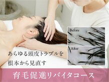 イーズ/リバイタ 梅田本店