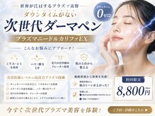 ライリー(Rairy)
