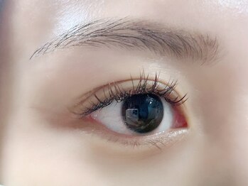 フェルナ(FERNA)/眉ワックス&エクステ120本