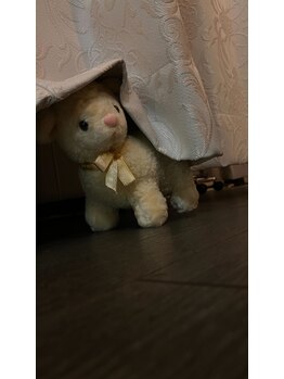 癒し～ぷ 立川店/立川のドライヘッドスパ専門店♪