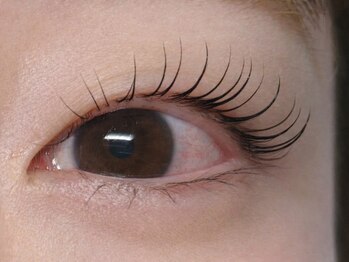 アイラッシュリゾートメリア(eyelash resort Melia)/似合わせまつげパーマ