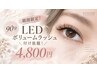【石井限定】LEDボリュームラッシュ90分付け放題♪5800円