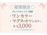 8月限定、平日11時～最終14時半限定！！！ハント　ワンカラー　3000！！