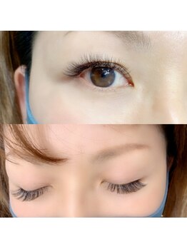 ルピナス(Lupinus)/LEDボリュームラッシュ600本