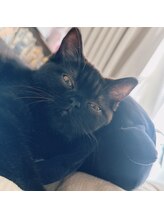 ピスティ(piisty) MO RI