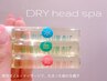 ドライヘッドスパ30分　¥5500