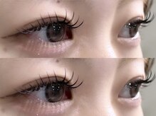 アミル(amiLe)/フラットラッシュ★100本