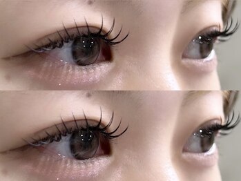 アミル(amiLe)/フラットラッシュ★100本