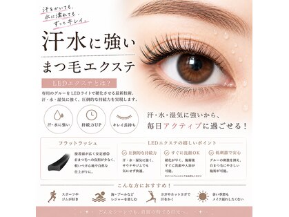 セレビアイ 青葉台店の写真