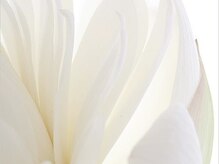 アンドネイル ビューティー(AND nail,beauty)/AND nail,beauty