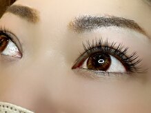 フェリス(Feliz)/フラットラッシュ１２０本