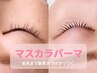 【7,8月限定】マスカラパーマ¥7700→¥6700（トリートメント効果＋艶黒続く）