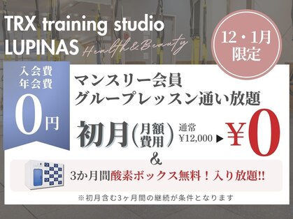 ルピナス(LUPINAS)の写真