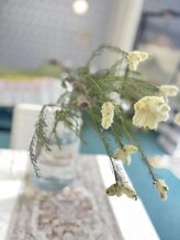 マシュマロハンド/よもぎ蒸し/冷え/むくみ改善