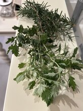 ティアラ(TIARA)/生のよもぎとローズマリー